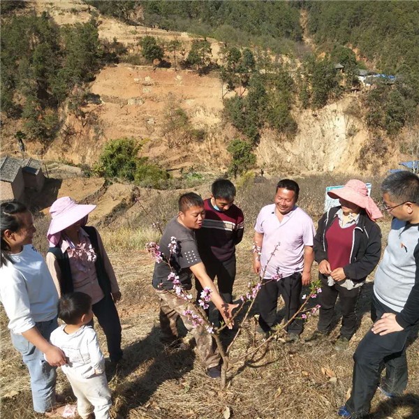 攀枝花市仁和区大田镇乌喇么村“三新”绘好新彝村