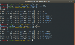 Linux常用命令 ls 入门基础知识