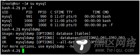 Linux系统环境变量位置， 环境变量持久化