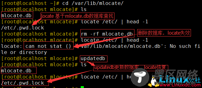 Linux 两个查找命令 locate，find