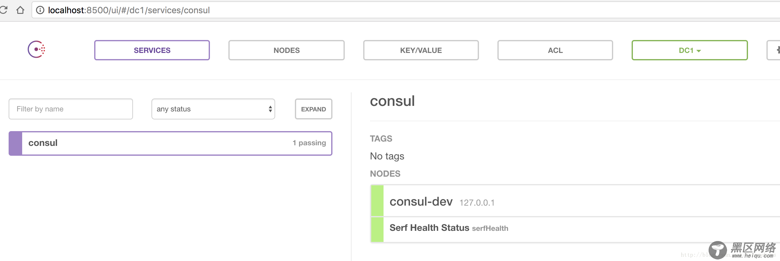 CentOS 安装 Consul 服务注册和发现软件