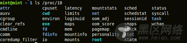 output of 'ls /proc/pid'