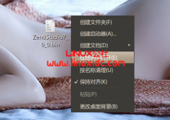 Ubuntu 10.04 安装 Zend Studio 7