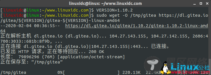 Ubuntu 18.04 上安装搭建私有 Git 服务器 Gitea