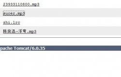Tomcat 配置完毕之后无法下载虚拟目录里的资源文
