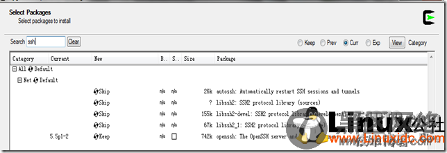 在Windows上远程执行Linux命令 