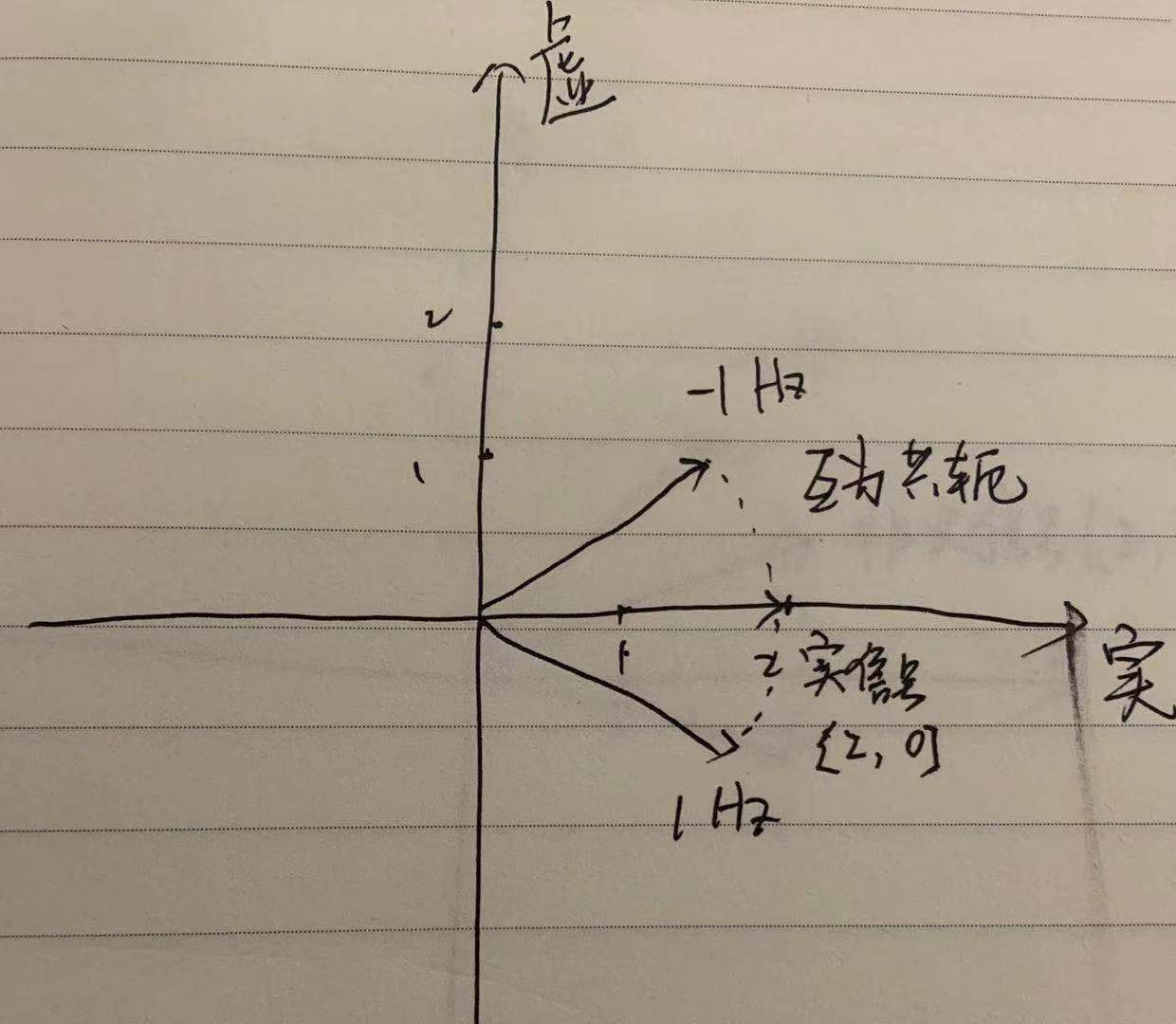 离散傅里叶变换的衍生，负频率、fftshift、实信号、共轭对称 