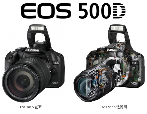 佳能EOS 500D、尼康D5000、宾得Kx PK 纠结！