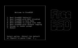 安装freebsd 快结束的时候报错！！write failure on transfer