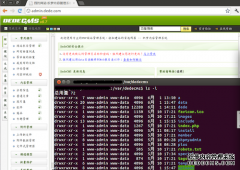 Linux下的DedeCMS站点高级安详计策