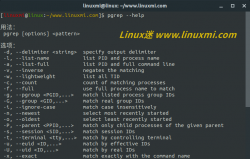 理解Linux中的pgrep命令