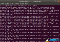 Linux tcpdump命令帮助和示例