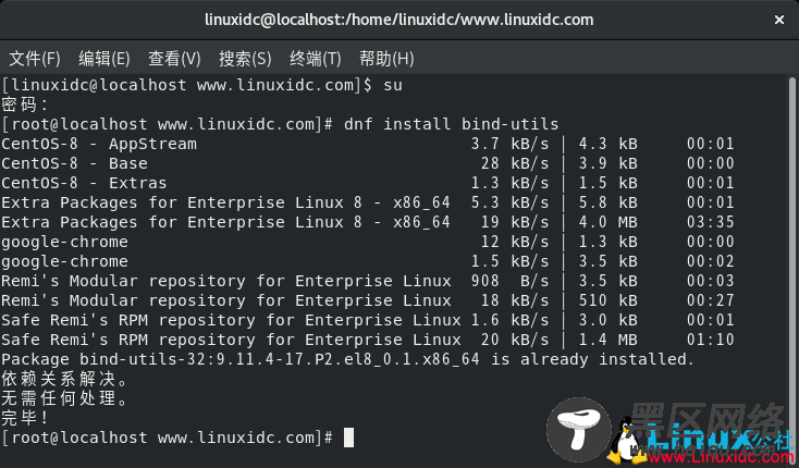 如何在Linux中安装和使用dig和nslookup命令