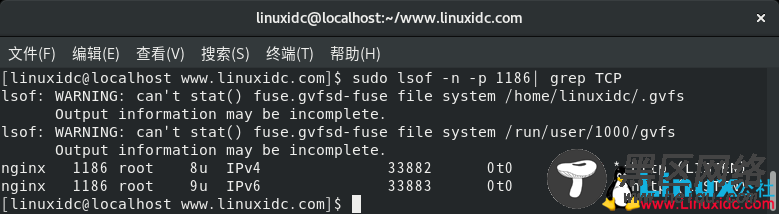 使用lsof命令查找在Linux中侦听指定端口的进程