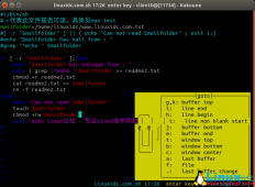 受 Vim 启发的代码编辑器