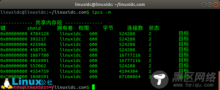 详解Linux共享内存的管理