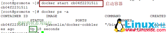 Docker架构，镜像及容器