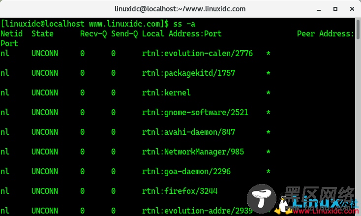 Linux下12个监视网络连接的ss命令示例