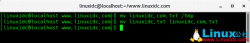 如何在Linux中使用mv命令移动文件和目录