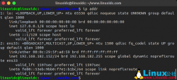 如何在 Linux 中查看 IP 地址