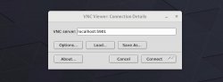 如何在 Ubuntu 18.04 上安装和配置 VNC