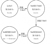 Linux shell类型，shell父子关系，子shell用法