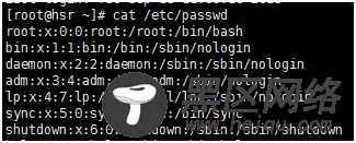 Linux文件权限命令：用户列表passwd，用户控制sh
