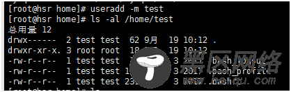 Linux文件权限命令：用户列表passwd，用户控制sh