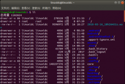 Linux命令 ls 和 ll 的使用方法与基本区别