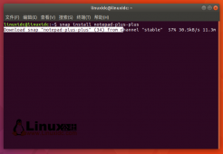 如何通过Snap在Ubuntu 18.04/16.04中安装Notepad++