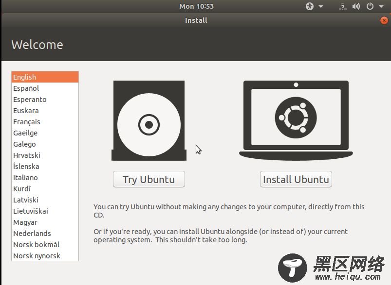 live Ubuntu 启动