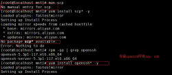 Linux的SSH（Secure Shell Protocol）服务