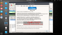 在Ubuntu 17.10, 16.04中安装Wireshark 2.4.4