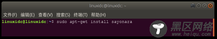 Sayonara 1.0 - 安装适用于Ubuntu Linux的Sayonara音频播放器