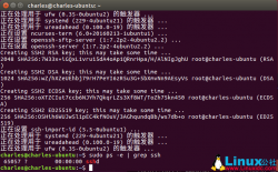 Ubuntu 开启远程登录 SSH 的安装和配置