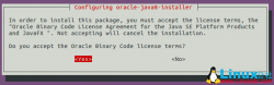 Ubuntu 16.04安装Java JDK