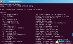 Ubuntu安装和运行Docker