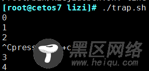 Bash 脚本经典用法及其案例详述