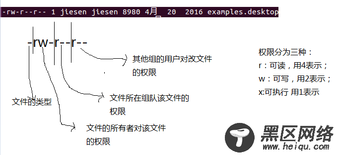 Linux下的文件目录及文件目录的权限