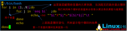 Linux里的循环语句