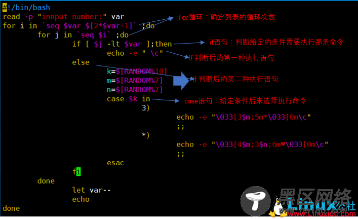 Linux里的循环语句