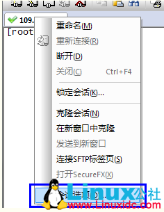 SecureCRT中文显示乱码