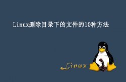 <strong>Linux删除目录下的文件的10种方法</strong>