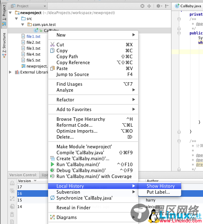 Mac下Intellij IDEA使用之SVN图文详解