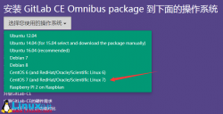 CentOS 7.2安装GitLab CE 图文详解