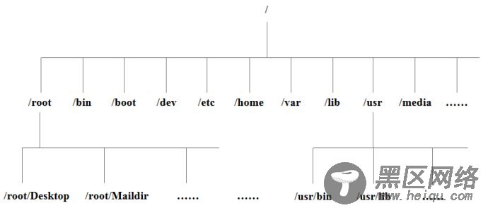 Linux 系统目录结构