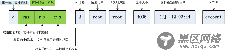 Linux的文件类型和权限