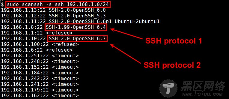 Linux系统入门学习：如何在Linux上检查SSH的版本