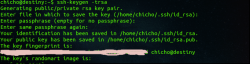 Ubuntu下scp批量拷贝文件不需要输入密码