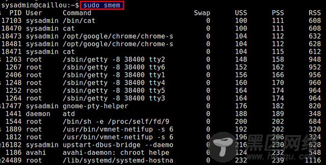 使用 smem 可视化显示Linux内存使用情况